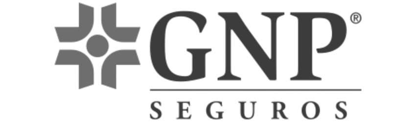 GNP