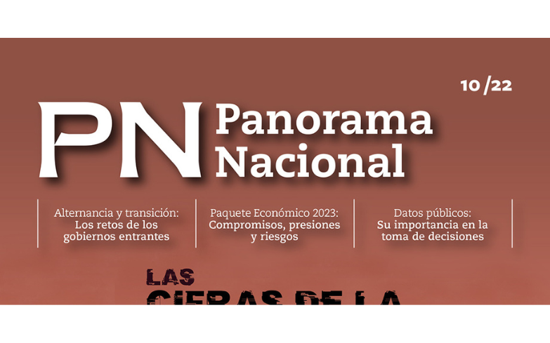 Las cifras de la violencia: ¿Realidad, percepción y manipulación?