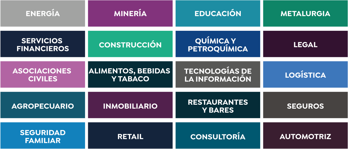Diagrama con sectores